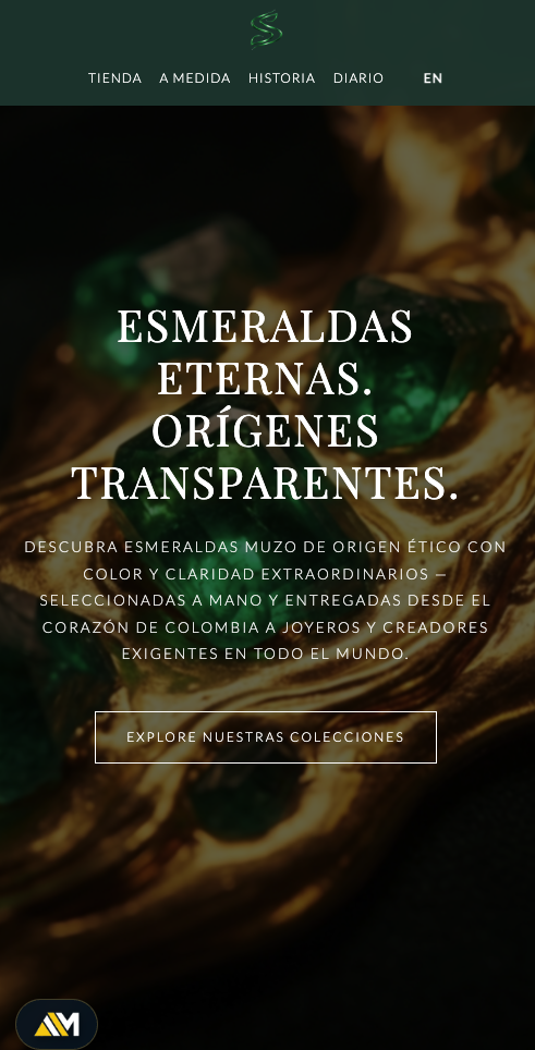 Proyecto Selva & Stone